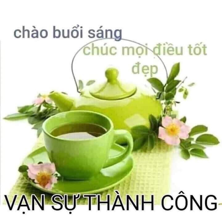 VP 123 Nguyên Hồng